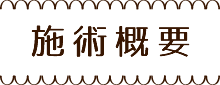 施術概要