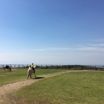 image2 (1)