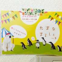 image1 (36)