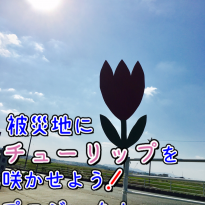 image1 (122)