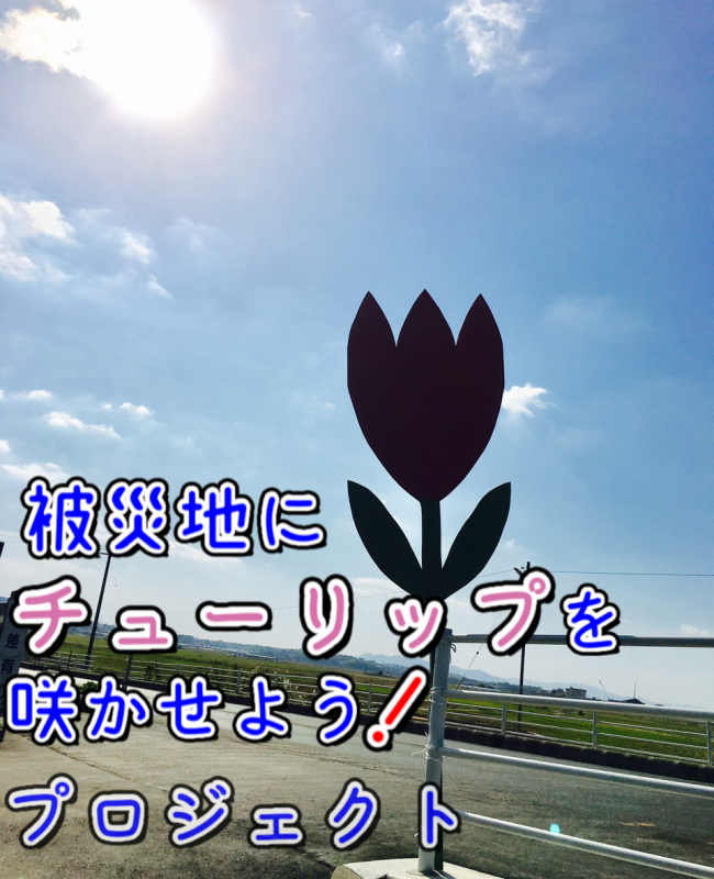 image1 (122)