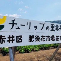 image1 (23)