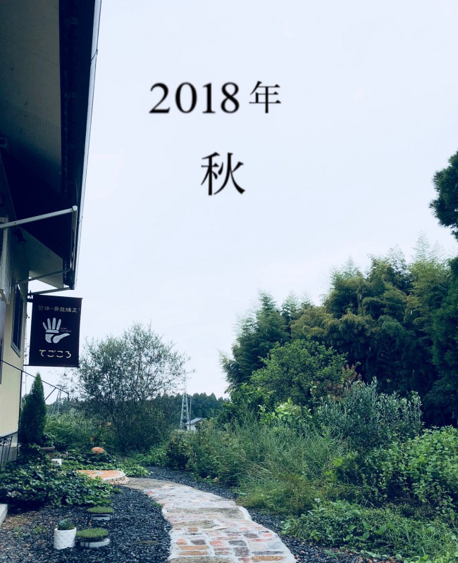 image1 (71)