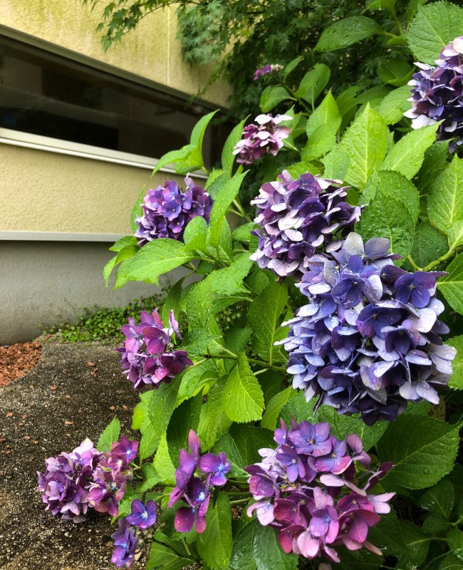 image1 (163)
