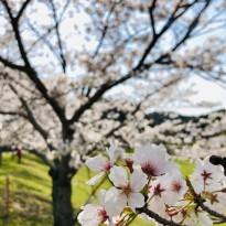 image0 (143)